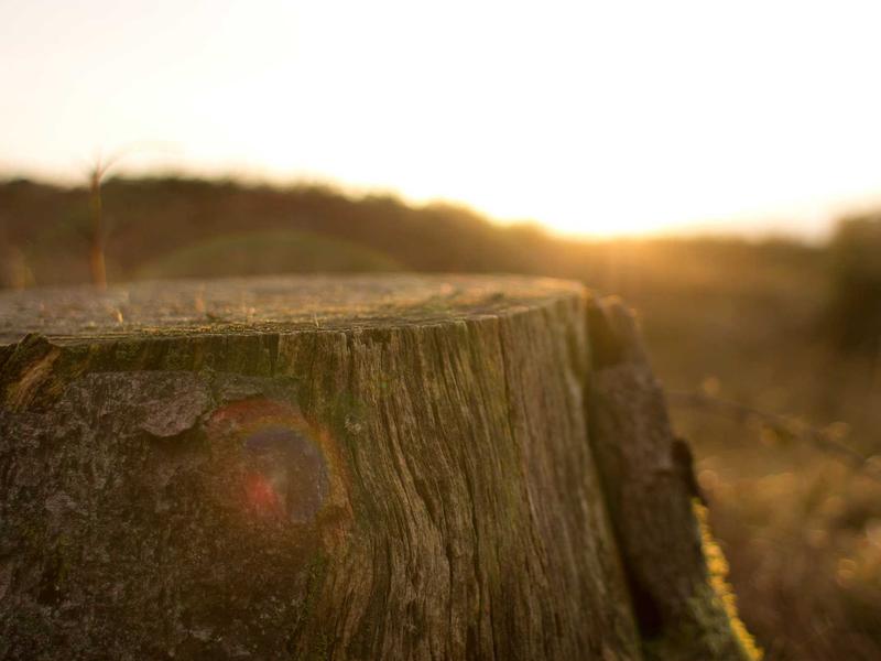 sudoku backup save screenshot 6